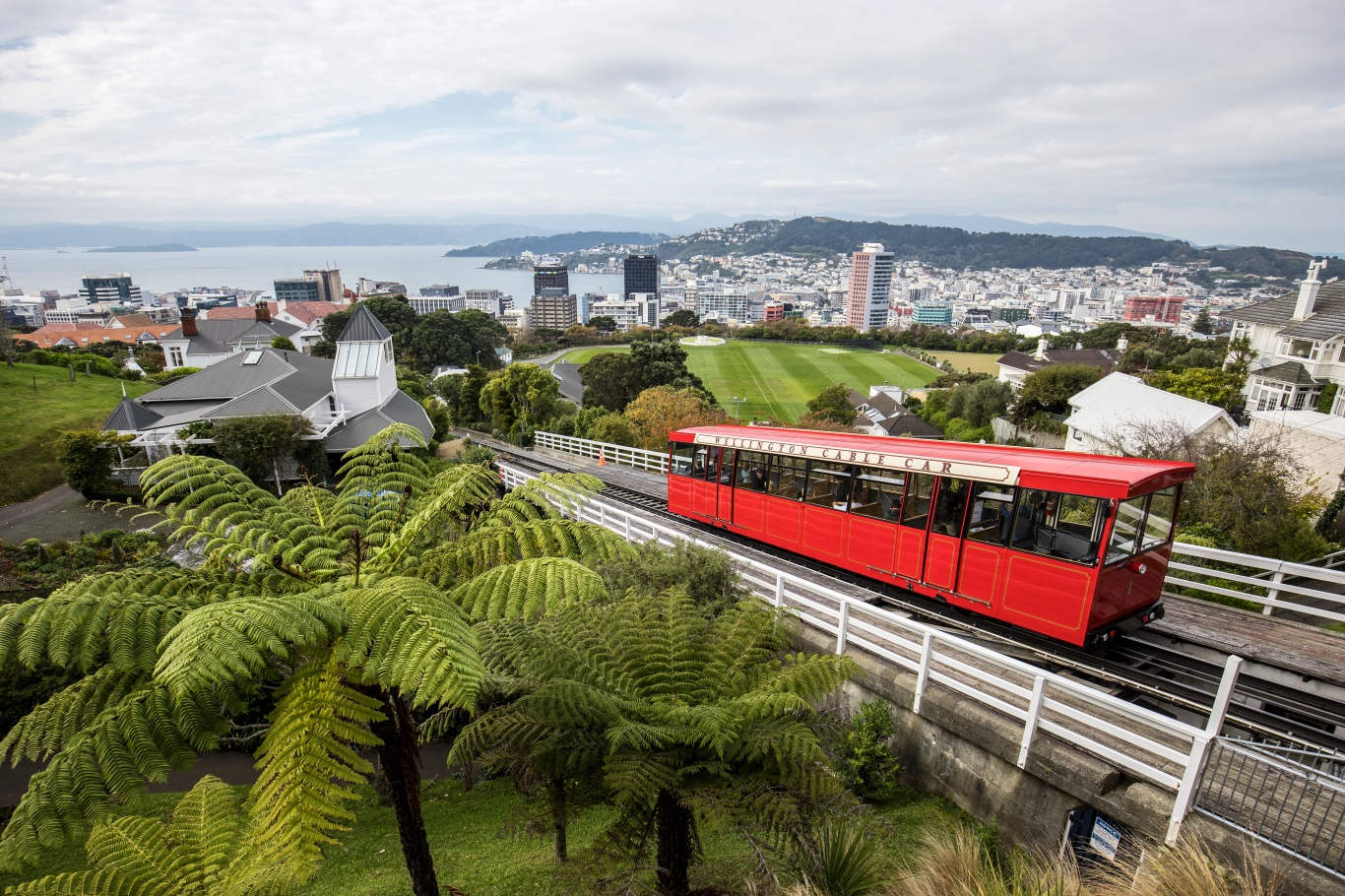 惠灵顿 Wellington
