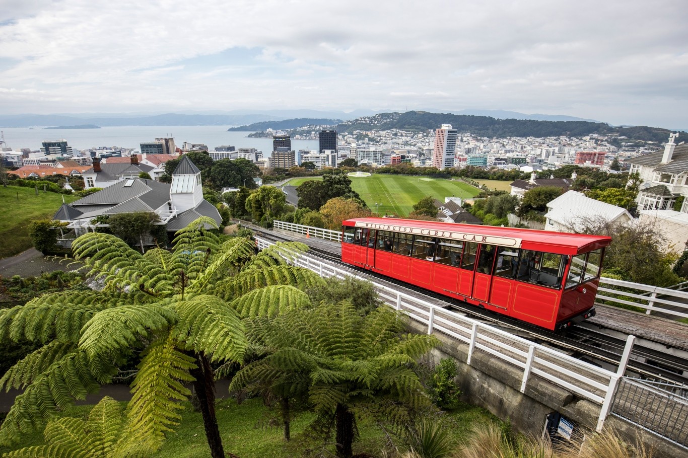 234007-wellington-city-wellington(1).jpg