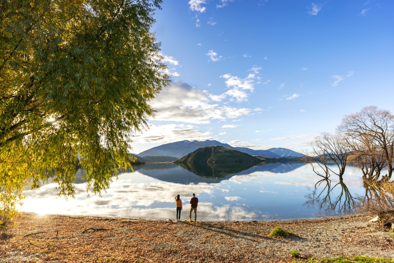 235565-lake-wanaka-otago(1).jpg
